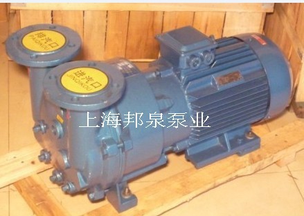 2BV5110水環(huán)真空泵