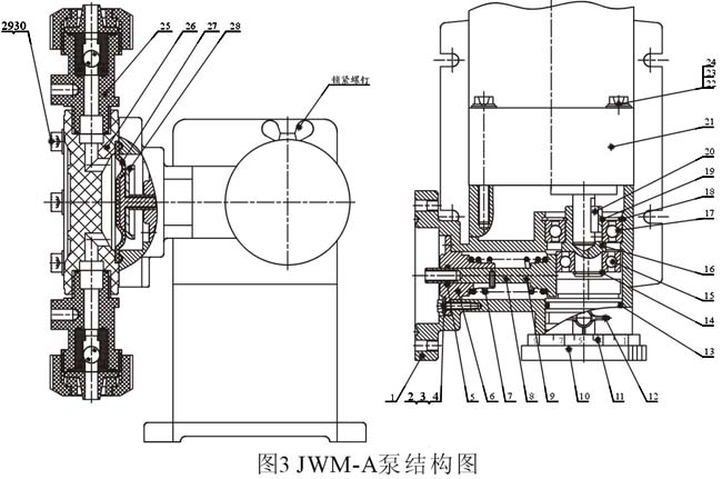 JWM-A隔膜計(jì)量泵結(jié)構(gòu)示意圖